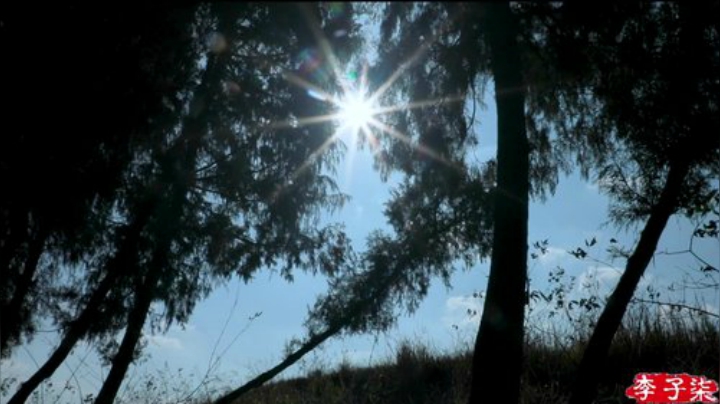 【美食】李子柒liziqi的精彩时刻 20201025 14点场