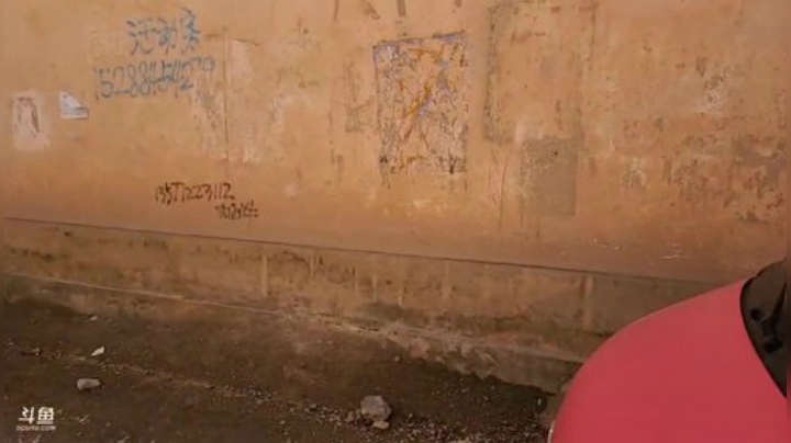 【户外】叶子户外的精彩时刻 20201026 14点场