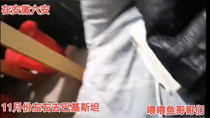 随便看看