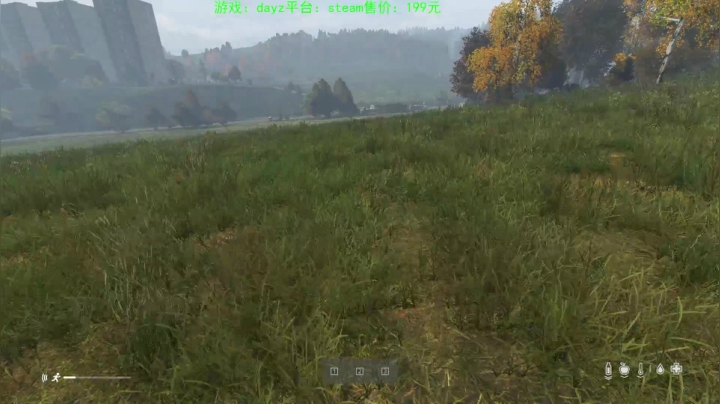 dayz(我是一个好人请不要ban我） 2020-10-25 23点场