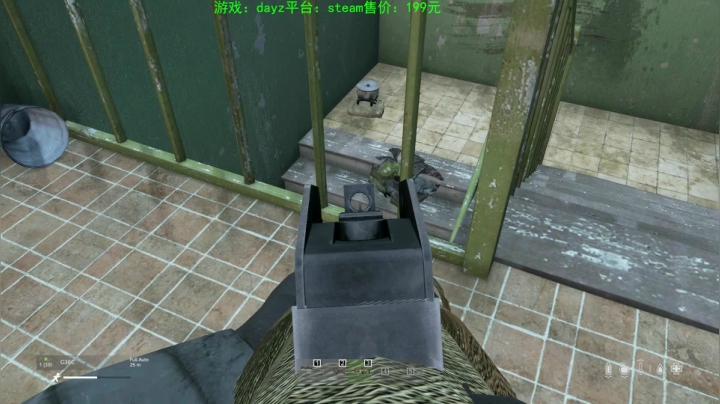 dayz(我是一个好人请不要ban我） 2020-10-25 17点场