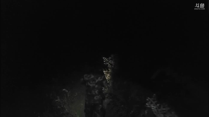 《纪实直播》悬崖村三年之约路上 2020-10-27 20点场