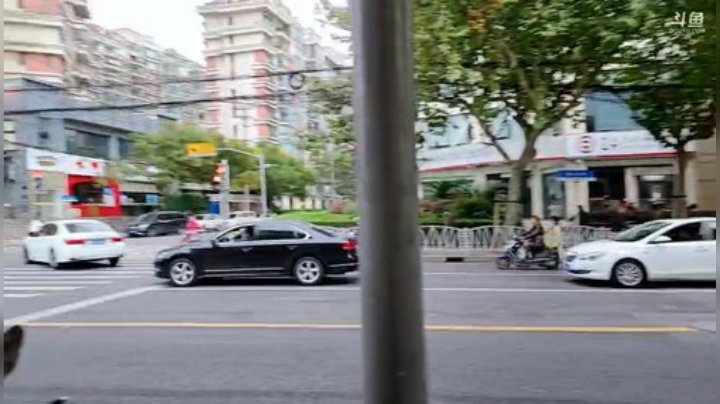 【户外】小鱼小鱼吃虾米的精彩时刻 20201027 15点场