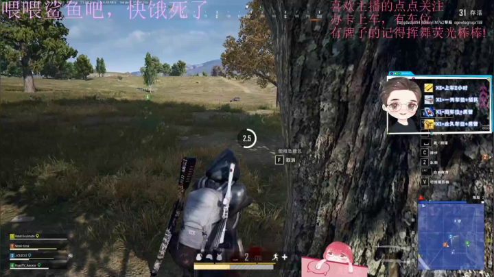 火烈鸟：今天也是努力打工的一天 2020-10-26 18点场
