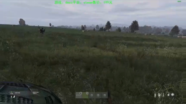 dayz(我是一个好人请不要ban我） 2020-10-27 14点场
