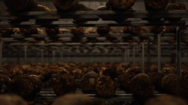 【美食】YESHI小哥的精彩时刻 20201028 11点场