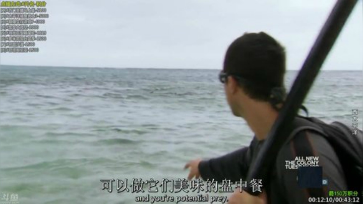 【科普】酷炫你你你的精彩时刻 20201028 05点场