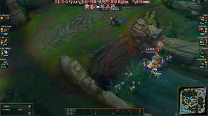 酒桶开花