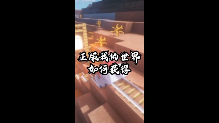 每天一个无用小知识 如何获得正版