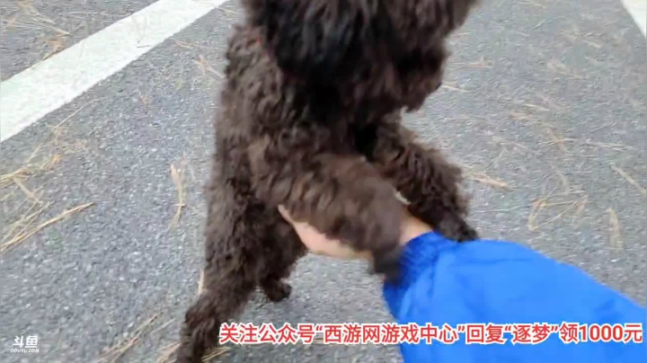 节目场地测试，12点开播 2020-10-28 14点场