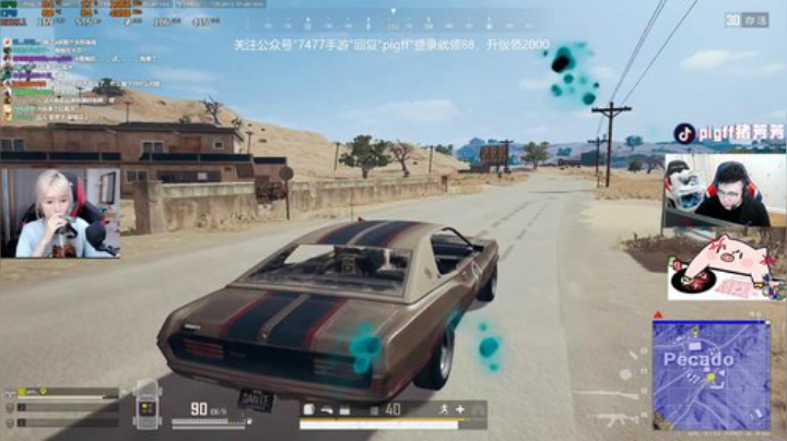 我在斗鱼看pigff直播绝地求生