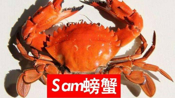 40秒开始拿法高能小片段~红烧螃蟹！