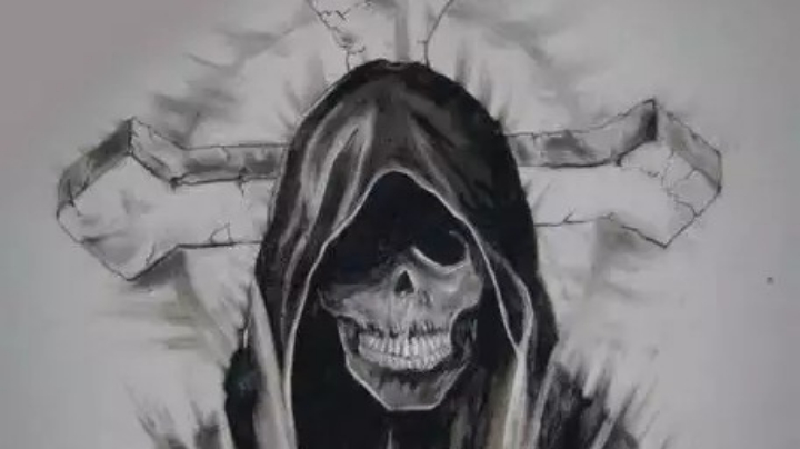 小鸟伏特加