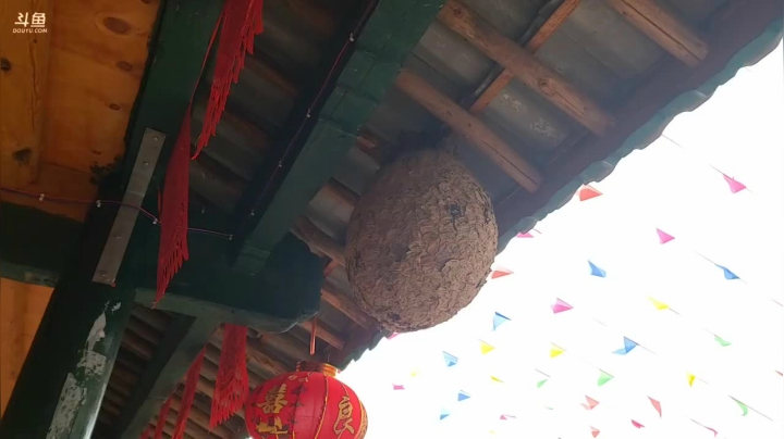 《纪实直播》普米族婚礼 2020-10-30 15点场