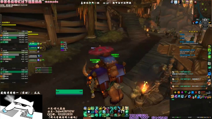 犬森姨妈 - ℃ 深秋至 2020-10-29 15点场