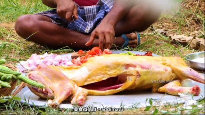 【美食】屎马蛋的精彩时刻 20201030 09点场