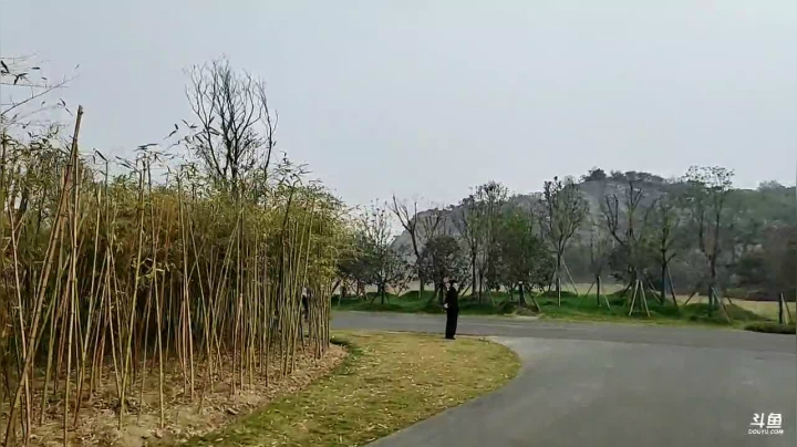 古隆中-湖北省文旅项目展示 2020-10-30 12点场