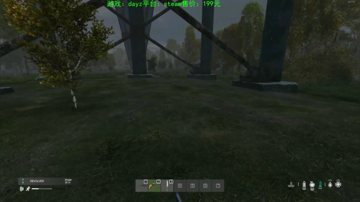 dayz(我是一个好人请不要ban我） 2020-10-30 23点场