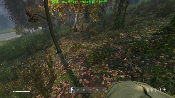 dayz(我是一个好人请不要ban我） 2020-10-30 17点场