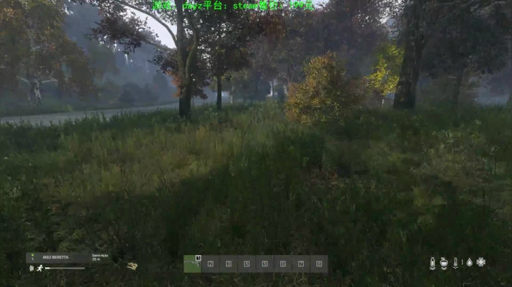 dayz(我是一个好人请不要ban我） 2020-10-30 19点场