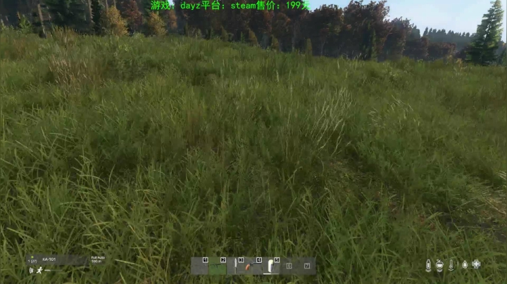 dayz(我是一个好人请不要ban我） 2020-10-31 17点场