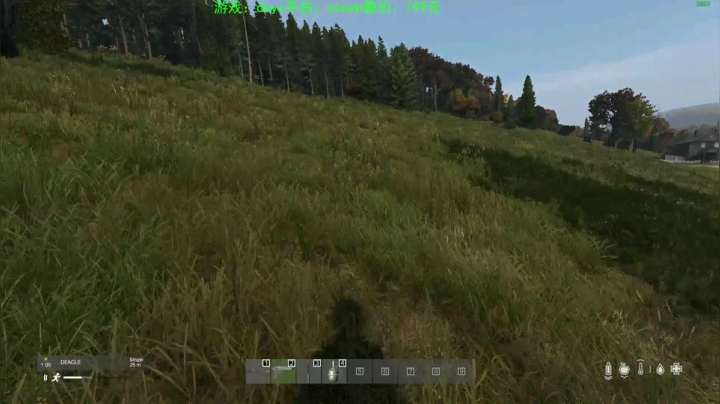 dayz(我是一个好人请不要ban我） 2020-10-29 22点场