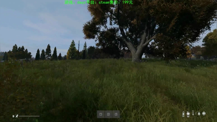 dayz(我是一个好人请不要ban我） 2020-10-31 19点场