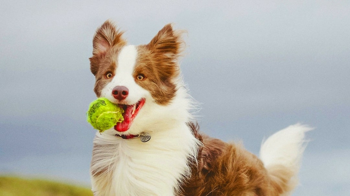 30元神修行任务-下