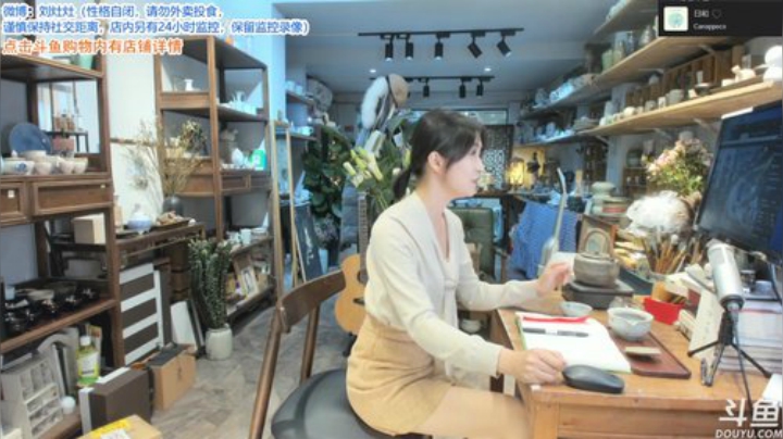 【户外】刘灶灶的精彩时刻 20201101 14点场