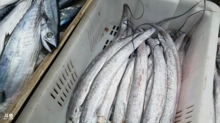 风里雨里，海鲜走起。 2020-11-01 15点场