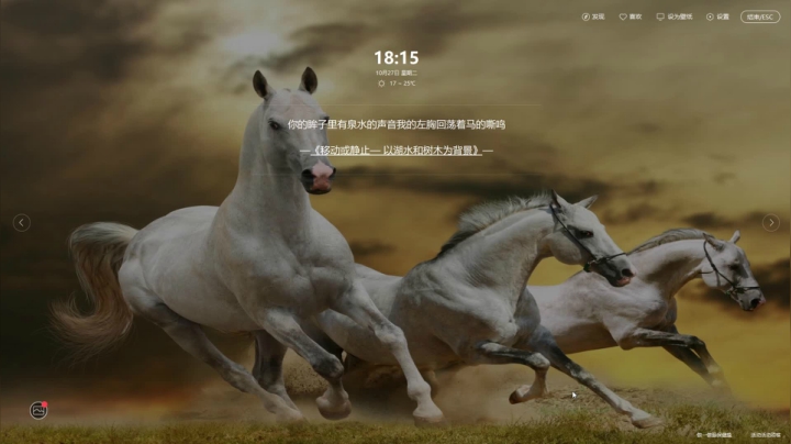 新主播 已上线 2020-10-27 17点场