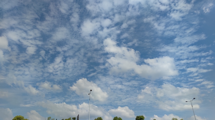 藏剑散排，秀得一笔