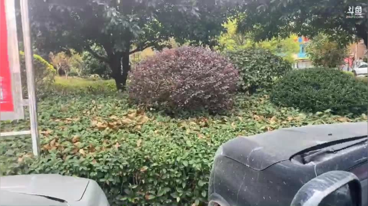 今天上山采摘桔子 2020-11-02 13点场