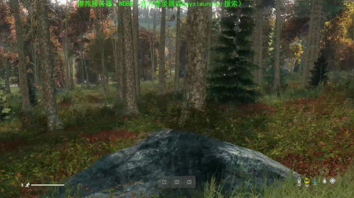 dayz(我是一个好人请不要ban我） 2020-11-01 20点场