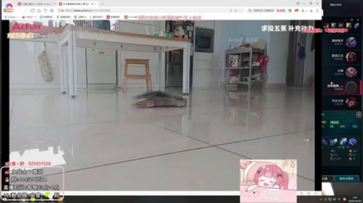 【英雄联盟】女战士丶姝玥的精彩时刻 20201102 10点场