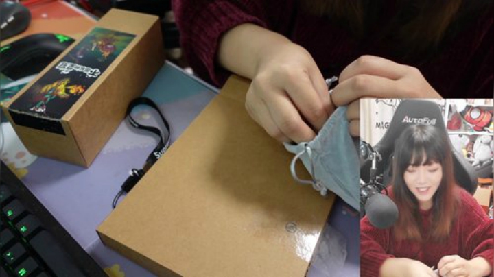 【皮克敏】甜心战士的精彩时刻 20201103 10点场