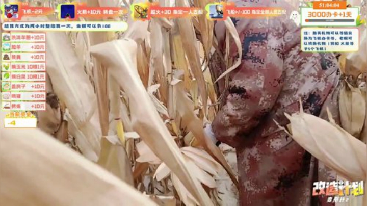 【户外】小鱼小鱼吃虾米的精彩时刻 20201103 09点场