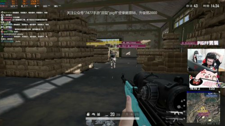 我在斗鱼看pigff直播绝地求生