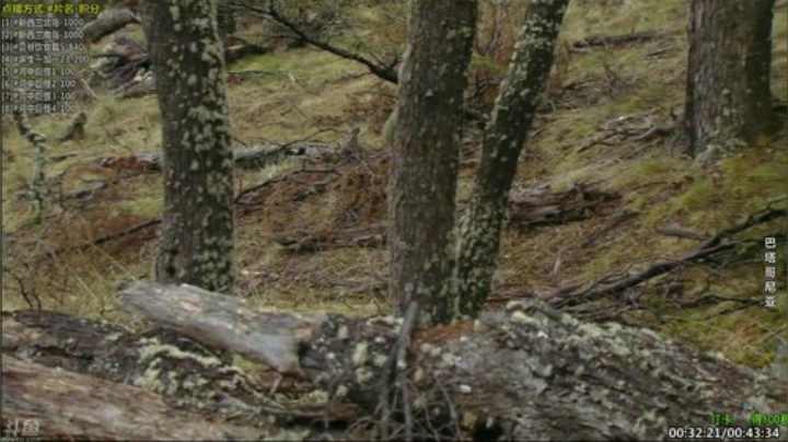 【科普】酷炫你你你的精彩时刻 20201103 07点场