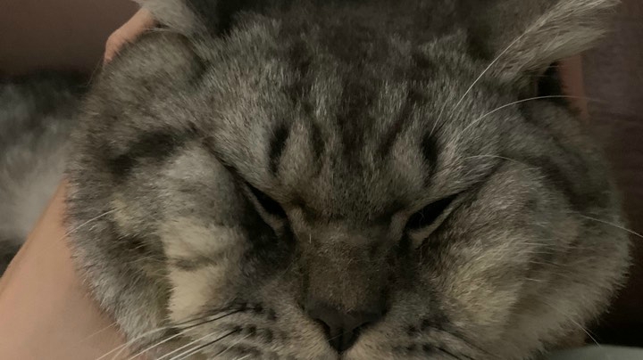 针不戳