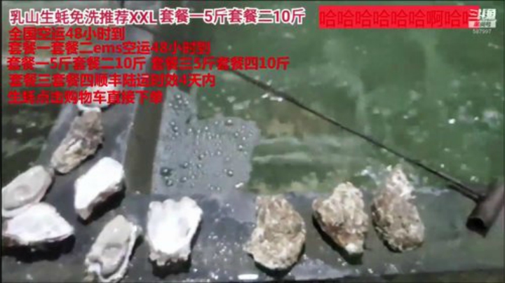 【美食】威海高哥587997的精彩时刻 20201104 19点场