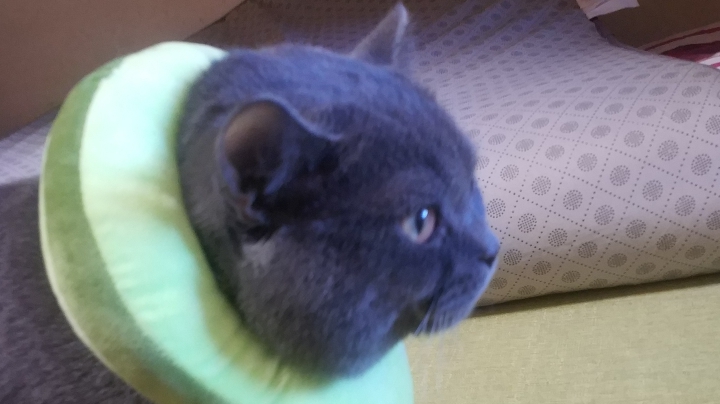 甜蜜之家