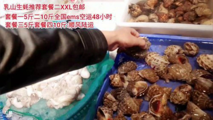 【美食】威海高哥587997的精彩时刻 20201104 15点场
