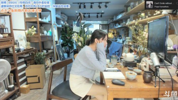 【户外】刘灶灶的精彩时刻 20201104 14点场