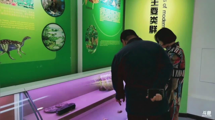 畅游大荆楚 跟“鄂”来打卡 2020-11-04 12点场