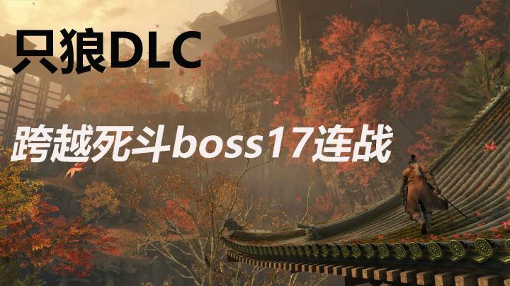 只狼DLC 跨越死斗boss17连战（常规打法）