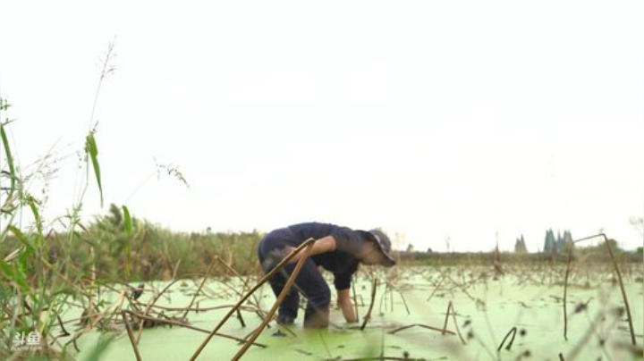 【美食】YESHI小哥的精彩时刻 20201105 10点场