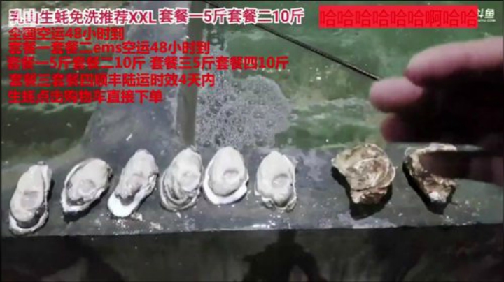 【美食】威海高哥587997的精彩时刻 20201105 16点场