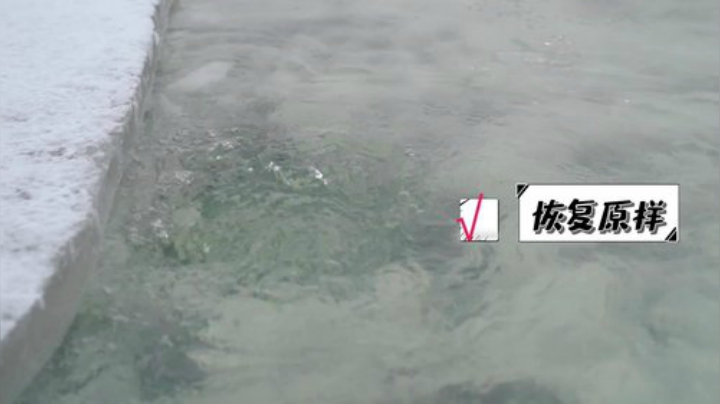 【美食】YESHI小哥的精彩时刻 20201106 10点场