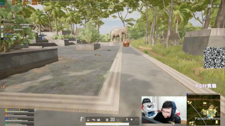 我在斗鱼看pigff直播绝地求生